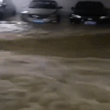 图二.gif