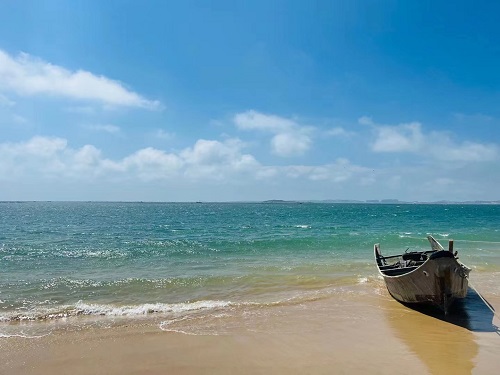 拉网海边.jpg